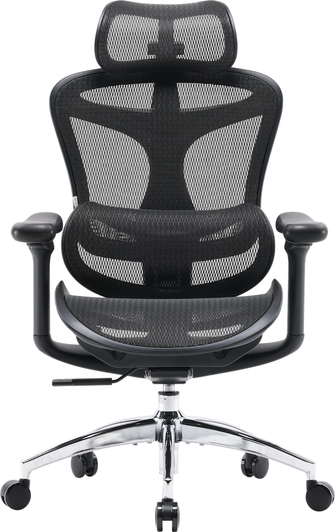 Эргономичное офисное кресло Sihoo DORO C300L