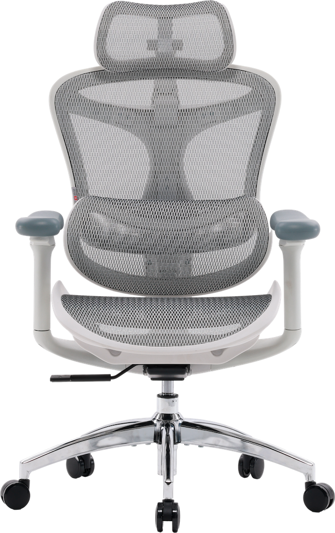 Эргономичное офисное кресло Sihoo DORO C300L
