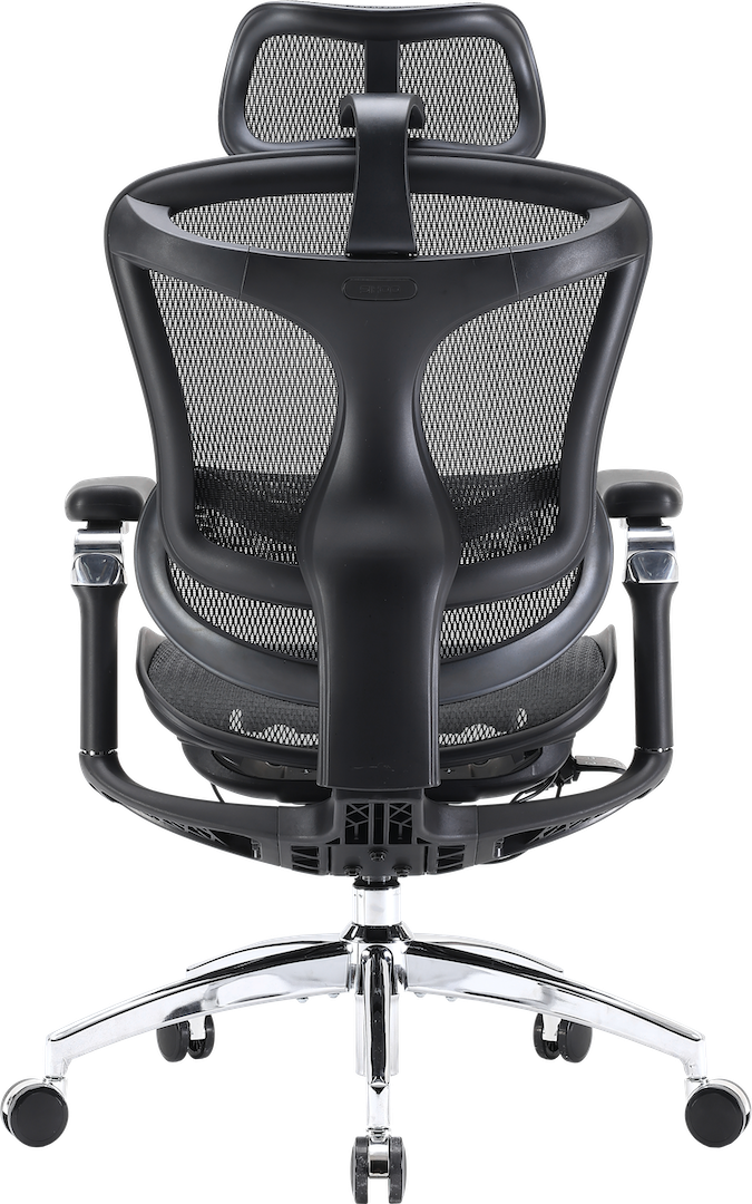 Ергономічне офісне крісло Sihoo DORO C300 Pro