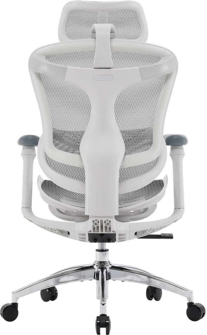 Эргономичное офисное кресло Sihoo DORO C300L
