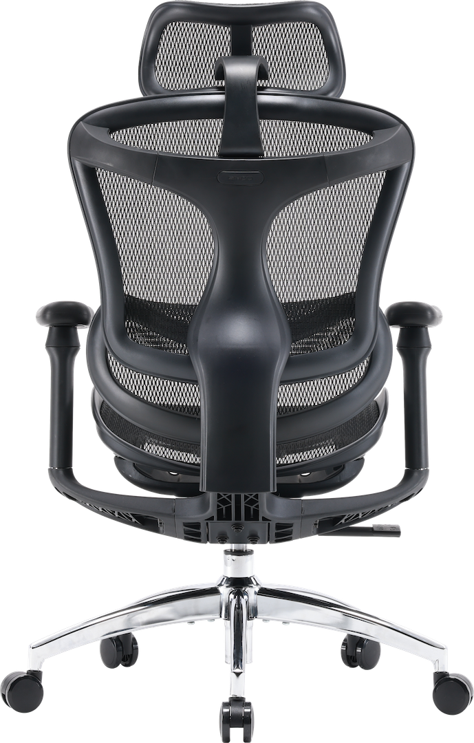 Эргономичное офисное кресло Sihoo DORO C300L