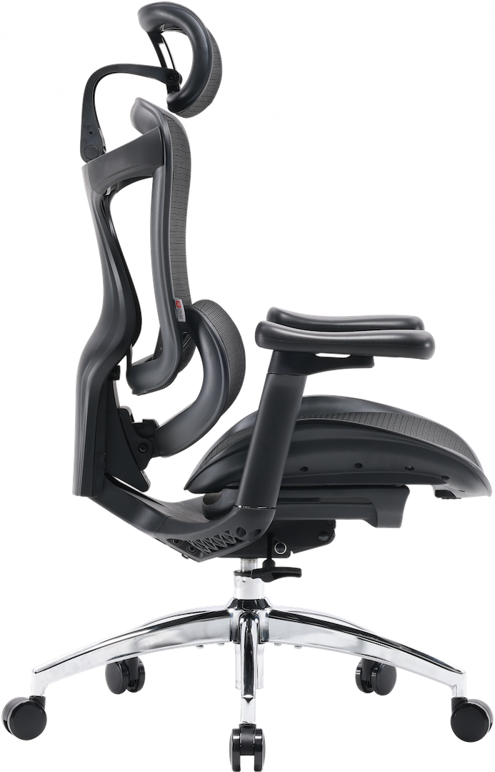 Эргономичное офисное кресло Sihoo DORO C300L