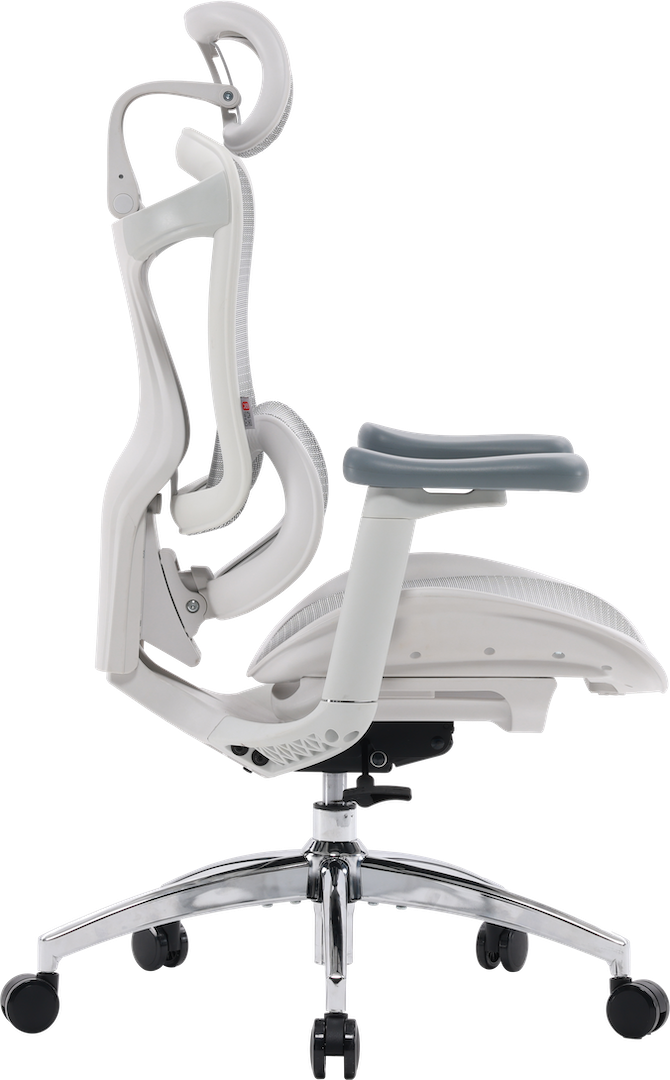 Эргономичное офисное кресло Sihoo DORO C300L