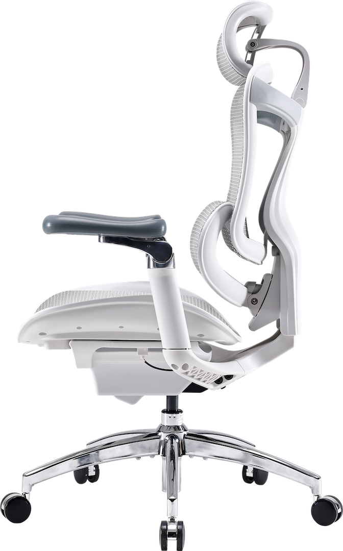 Ергономічне офісне крісло Sihoo DORO C300 Pro