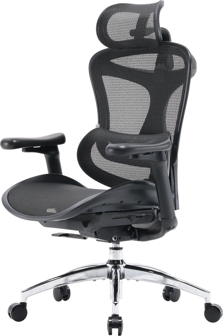 Эргономичное офисное кресло Sihoo DORO C300L