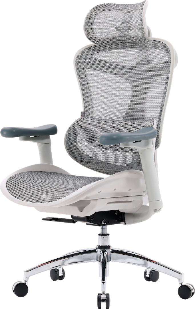 Эргономичное офисное кресло Sihoo DORO C300L