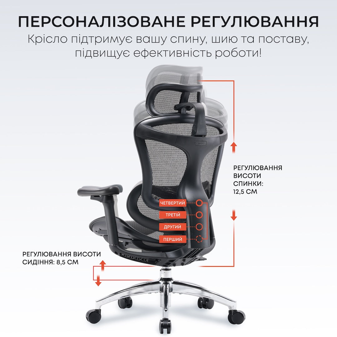 Ергономічне офісне крісло Sihoo DORO C300L