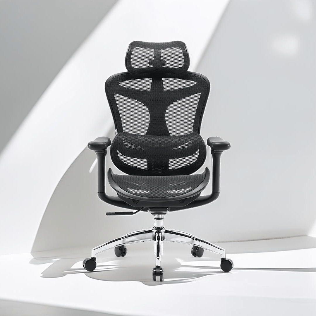 Эргономичное офисное кресло Sihoo DORO C300L