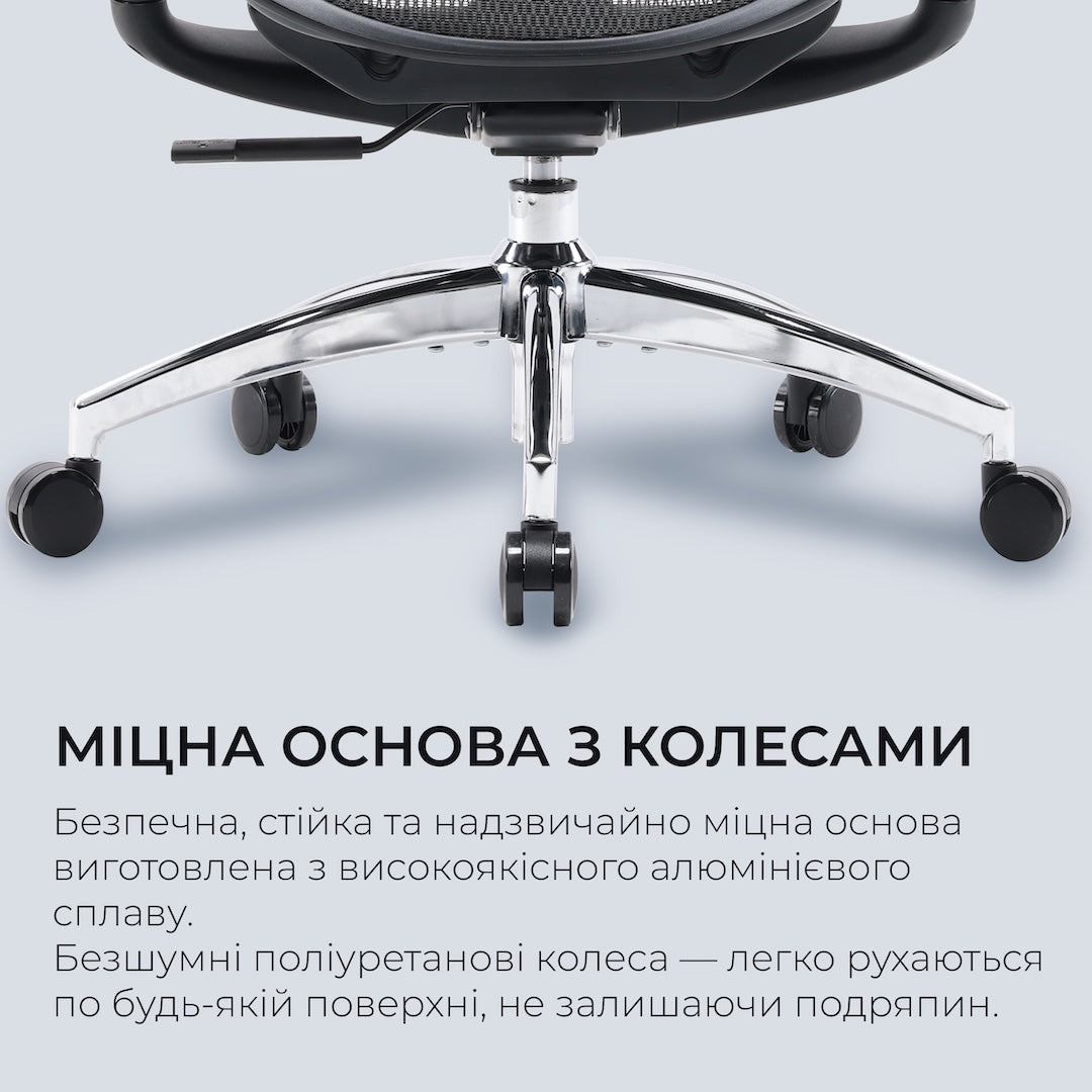 Ергономічне офісне крісло Sihoo DORO C300L