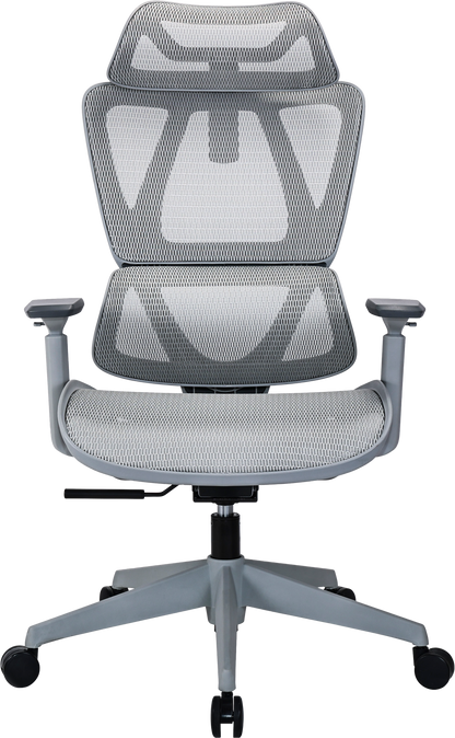 Ергономічне офісне крісло OfficePro Anvio OC590G