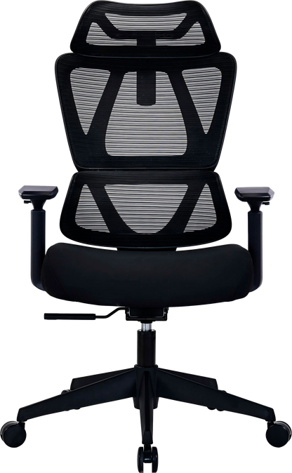 Ергономічне офісне крісло OfficePro Anvio OC590B