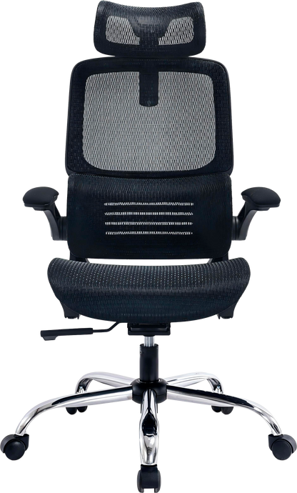 Ергономічне офісне крісло OfficePro Verto OC570B