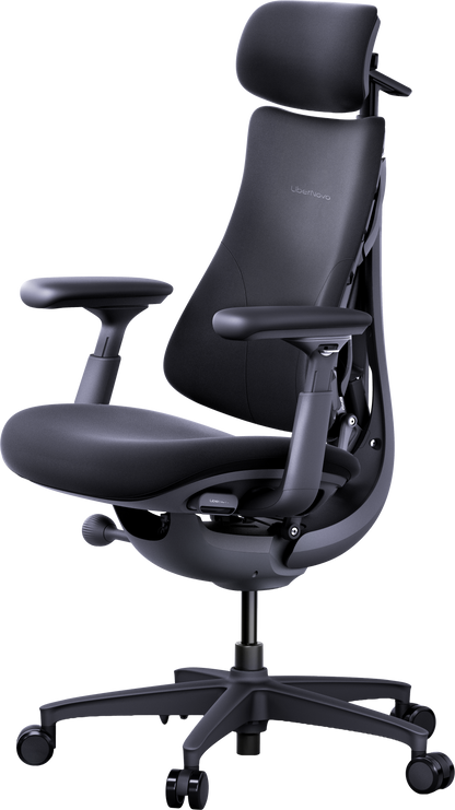 Ергономічне крісло LiberNovo Omni чорне Midnight Black