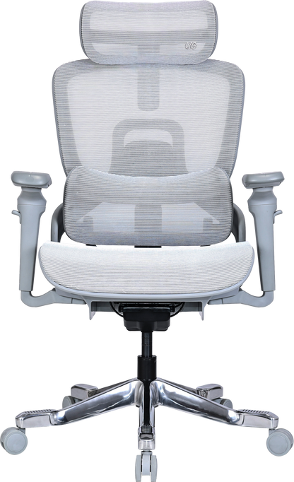 Ергономічне офісне крісло OfficePro Vionis OC133G