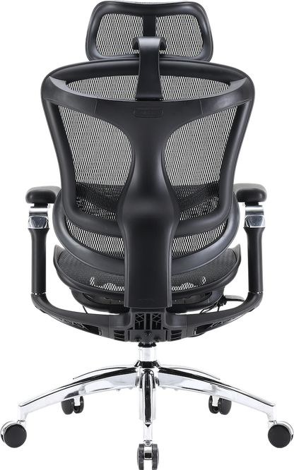 Ергономічне офісне крісло Sihoo DORO C300 Pro