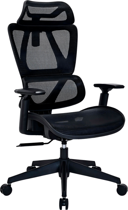 Ергономічне офісне крісло OfficePro Anvio OC500B