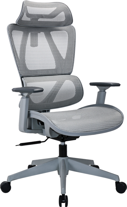 Ергономічне офісне крісло OfficePro Anvio OC590G