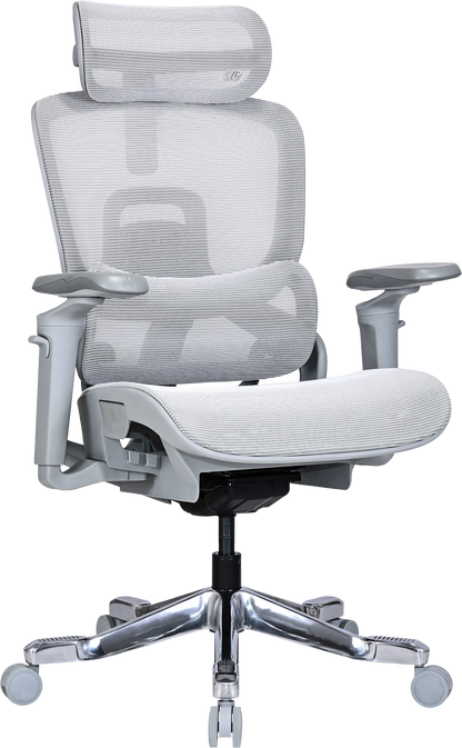 Ергономічне офісне крісло OfficePro Vionis OC133G