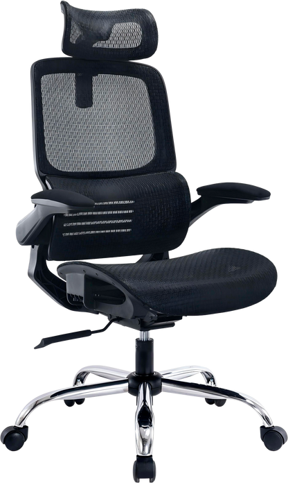 Ергономічне офісне крісло OfficePro Verto OC570B