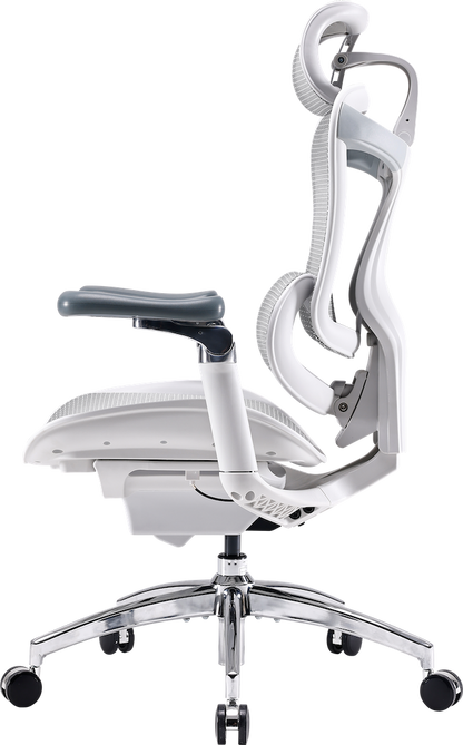 Ергономічне офісне крісло Sihoo DORO C300 Pro