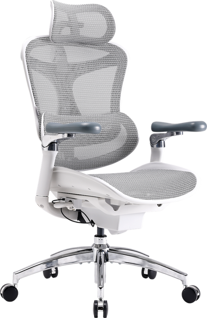 Ергономічне офісне крісло Sihoo DORO C300 Pro